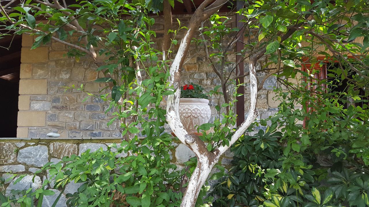 Villa Onar A Stone House With Amazing View Stoúpa Esterno foto